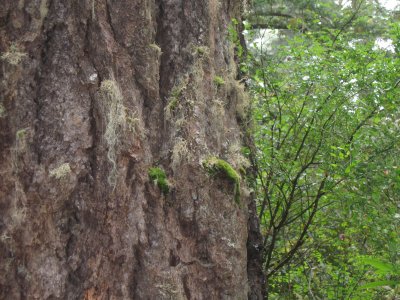 2011-09-13 13 015.JPG