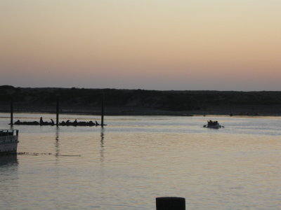 2011-09-17 064.JPG