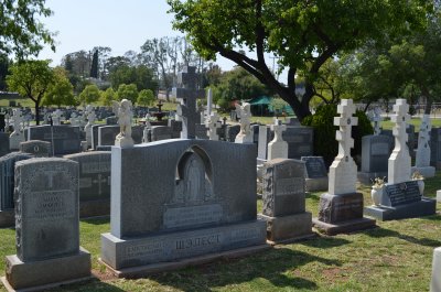 DSC_0280.JPG