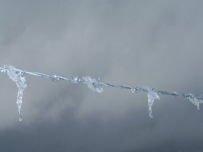 Ice on barbed wire