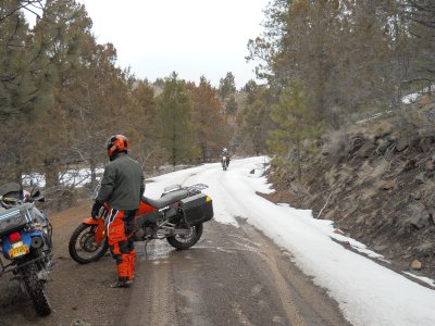 Snowy Turn Around
