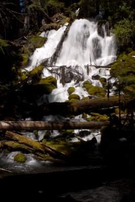 DSC05996.jpg