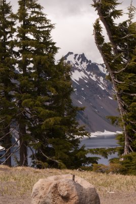 Mountain thru Trees