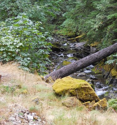 Champion Creek