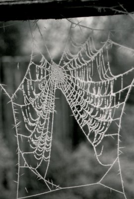 img002.JPG