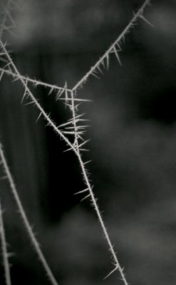 img004.JPG