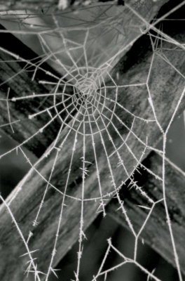 img005.JPG