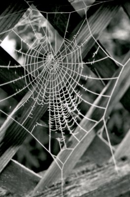 img010-2.JPG