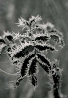 img011.JPG