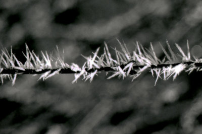 img016-2.JPG