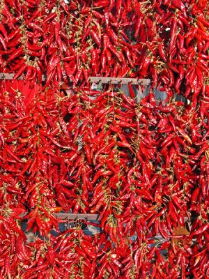 Paprika ! (lots of it...)