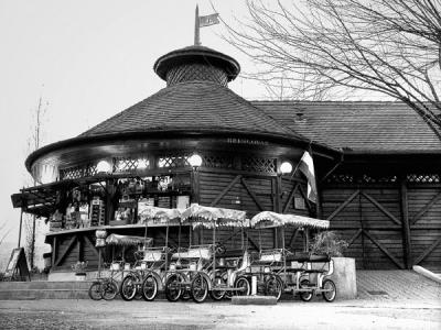 Recreational wheel carts for rental - Margit Island