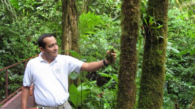 Our guide, Manny, shows us some of the moss growing in the rainforest near Arenal