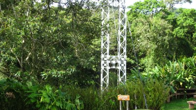 Hanging Bridge hike in the rainforest