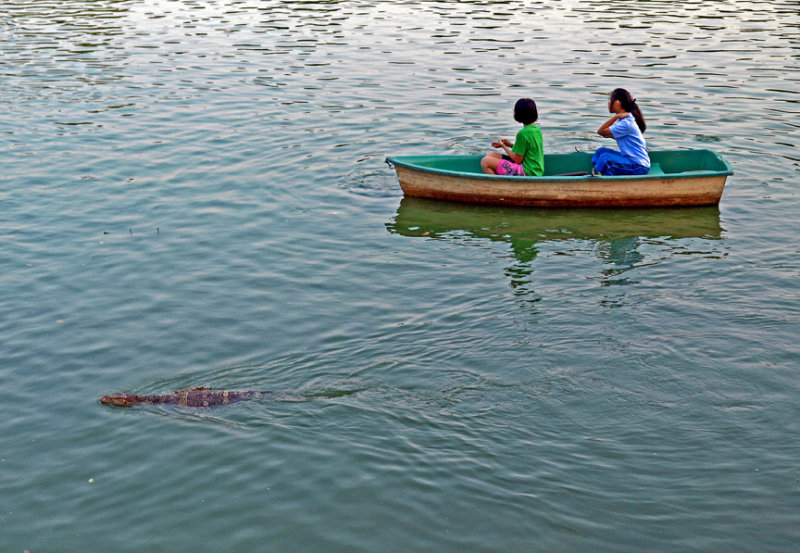 Girls in rowboat, water lizard in water