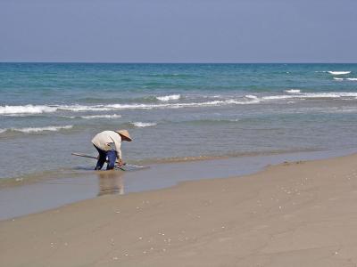 Man gathering sea snails