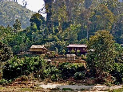 Houses in the jungle