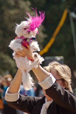 Woofstock Beverly Hills 2012