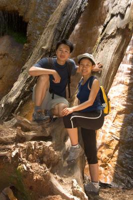 Big Basin Redwoods State Park