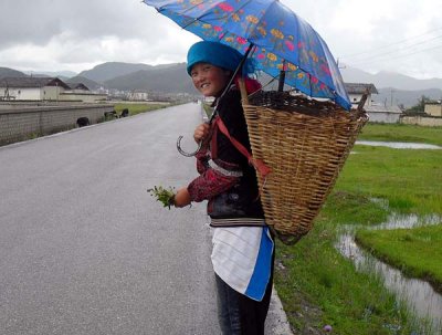 tibetan girl.jpg