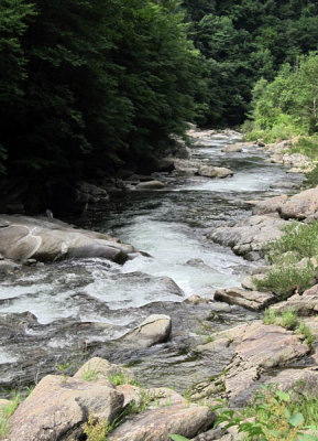 downstream.jpg