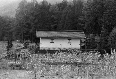 farm n matsumoto19a.jpg