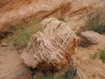 Pinky-brown rock with fins, Valley of Fire