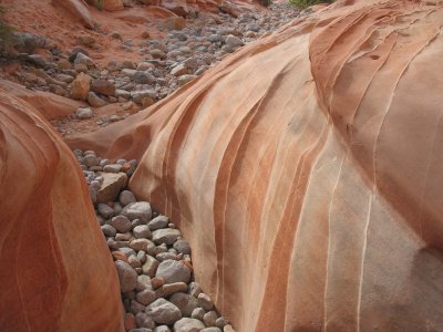 Rocks with fins in dry wash, Valley of Fire