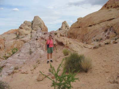 Rock fin landscape, Valley of Fire