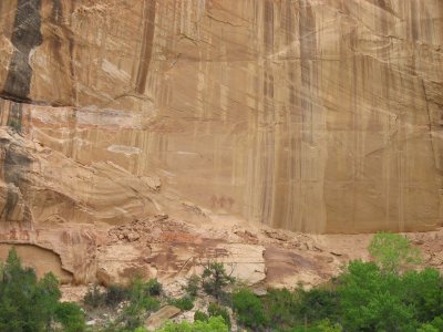 Rock wall with pictographs, Calf Creek Falls trail near Escalante