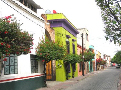 Colorful houses and bottlebrush trees, Tlaquepaque