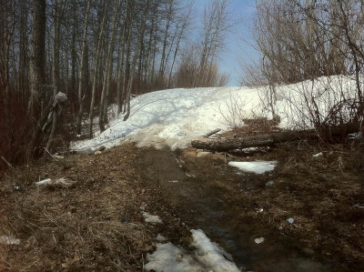 Pile of snow on trail beside Store Creek 2011 April 21