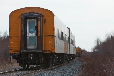 Polar Bear Express heading south 2011 Aprill 22nd