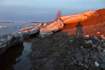 2011 May 1st at sunrise, ice floes pushed up dirt as they came up the shore