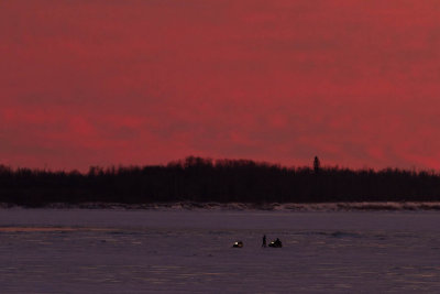 Snowmobiles on the Moose River at sunset 2011 November 29th
