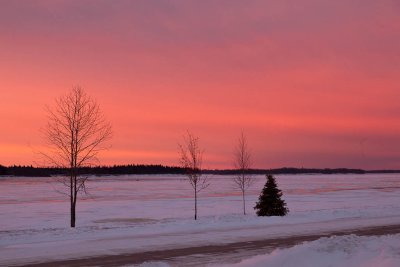 Red sunrise skies looking up the Moose River 2011 December 3rd