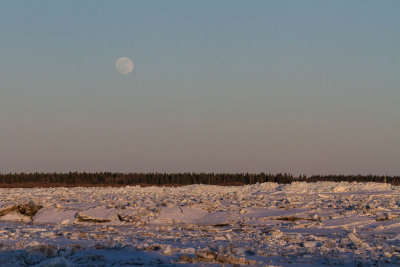 Full moon rising over ice on the Moose River at Moosonee 2012 April 5th