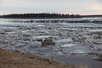 2012 May 2nd view towards Butler Island across loose ice on the Moose River.