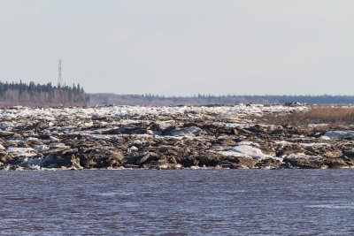 Looking up the Moose River towards hydro towers 2012 May 9