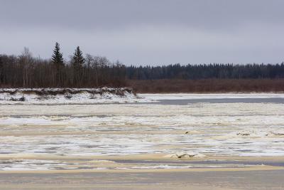 Ice by end of Butler Island