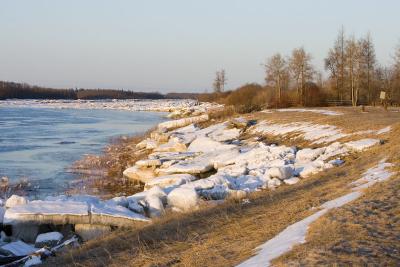 Up river along shoreline April 26th