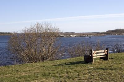 Bench atop river bank