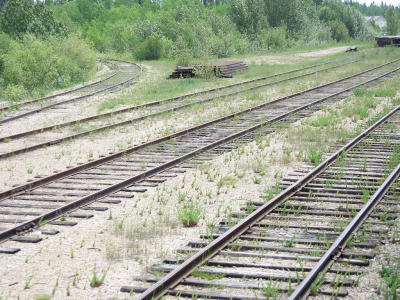 Sidings and wye along tracks in Fraserdale