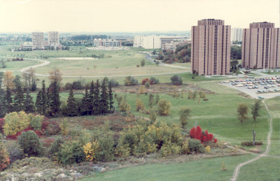 Looking north to York University from Murray Ross Parkway 1981-82
