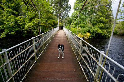 This is my bridge! - Inverness, Scotland - 2011