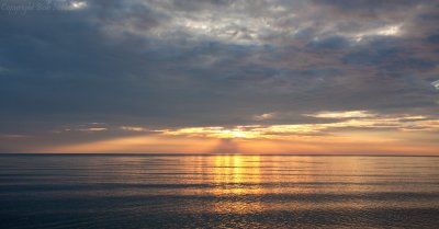 IMG_6384 copy.jpg