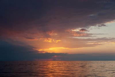 Last Week of July, 2011