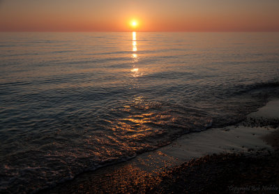 IMG_1956 copy.jpg