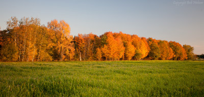 Sunset over field