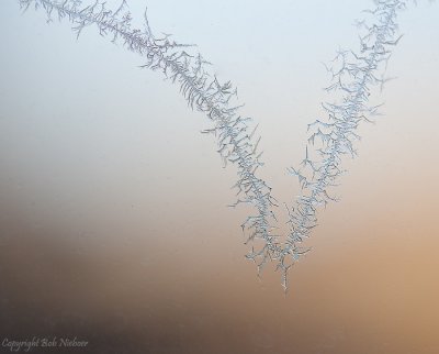 Ice on glass